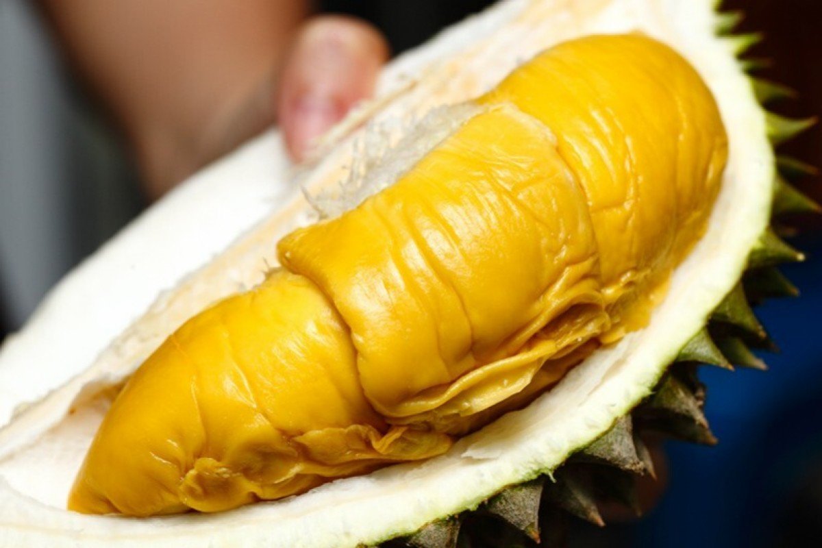 Sầu riêng Musang King là loại sầu riêng ngon nổi tiếng trong khu vực (Nguồn: SCMP)