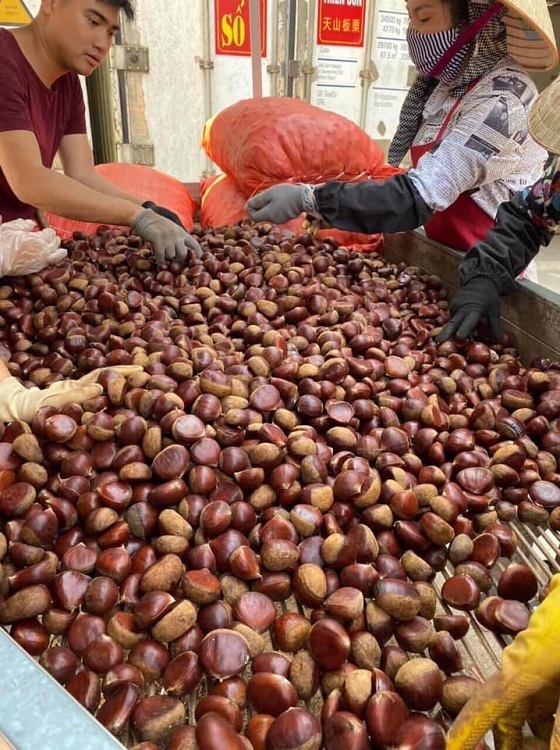 Hà Nội vào đông, tiểu thương đếm tiền mỏi tay nhờ bán loại hạt “vạn người mê” - 1