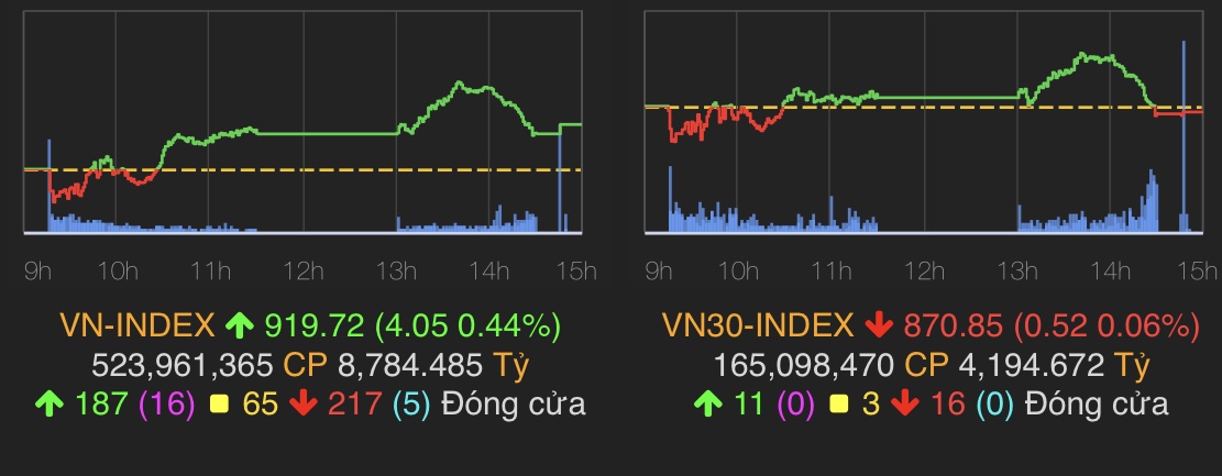 VN-Index tăng 4,05 điểm (0,44%) lên 919,72 điểm.