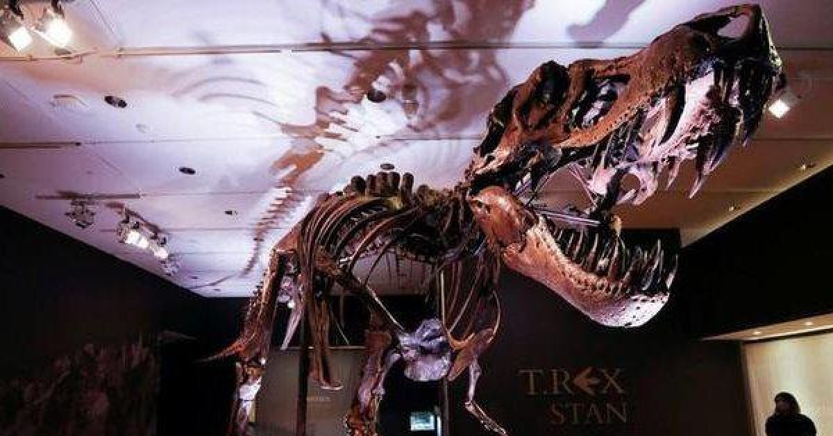 Thị trường - Tiêu dùng - Hóa thạch khủng long bạo chúa T-Rex được bán với giá cao kỷ lục