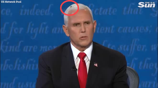 Con ruồi đậu trên đầu phó Tổng thống Mỹ Mike Pence (ảnh: CNN)