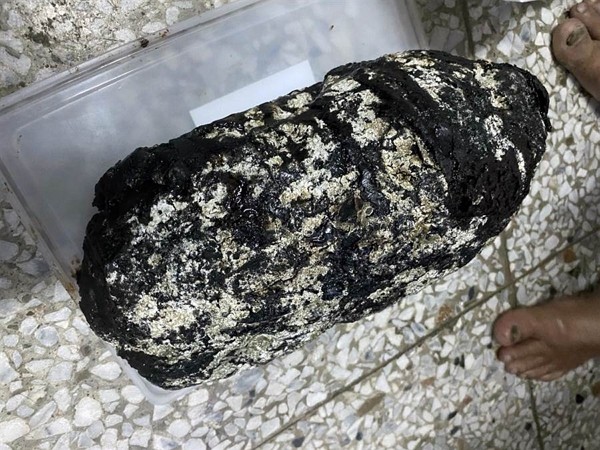 Khối đá màu đen nặng 4kg mà người đàn ông tìm thấy được xác nhận&nbsp;là báu vật.