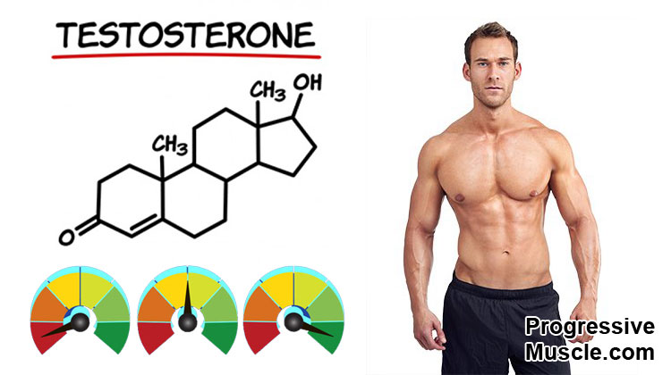 Tăng cường Testosterone hiệu quả bằng thảo dược thiên nhiên - 1