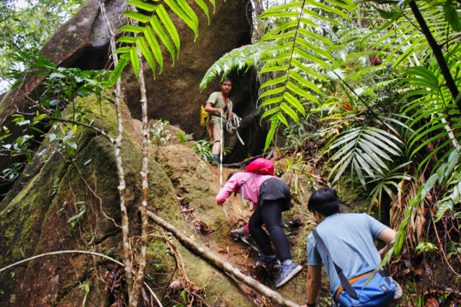 Đường lên đỉnh Chư Mư phải vượt qua nhiều tảng đá lớn