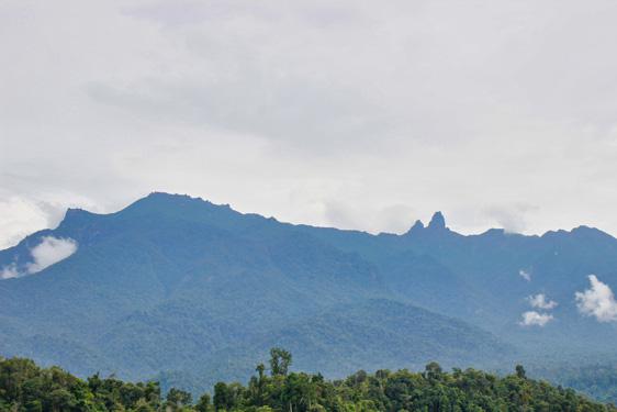 Núi Chư Mư xanh ngắt trên cao nguyên M’Drắk