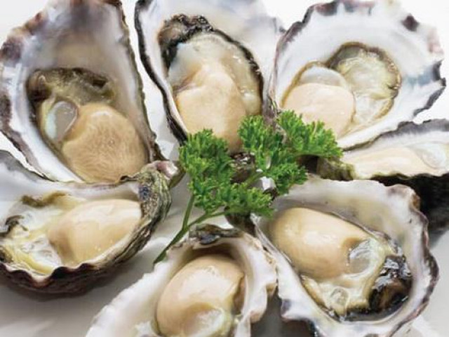 Sức khỏe đời sống - Những vị thuốc quý từ biển