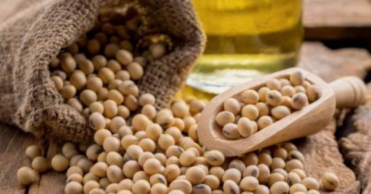 Sức khỏe đời sống - Thực phẩm giúp nàng tăng hưng phấn