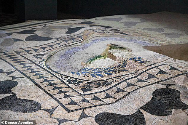 Sàn nhà được lát toàn bộ bằng những bức tranh khảm bởi hàng tỉ tỉ viên đá nhỏ được mài nhẵn công phu - Ảnh: DOMUS AVENTINO