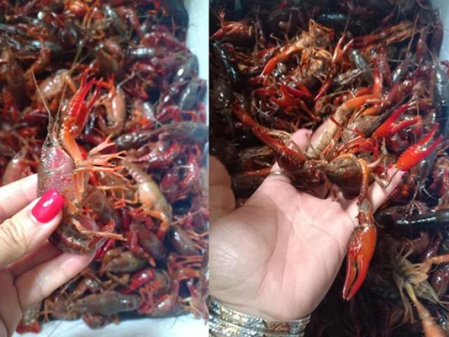 Thị trường - Tiêu dùng - Những mặt hàng bị cấm bán trên thị trường Việt Nam, bạn có chắc trả lời đúng?
