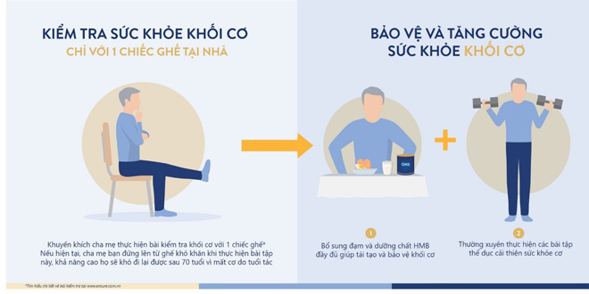 Khối cơ đóng vai trò quyết định tới khả năng vận động cũng như chất lượng cuộc sống của người lớn tuổi