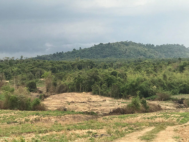 Mảnh đất khô cằn được phủ xanh chỉ trong vòng 3 năm sau chương trình tại Đồng Nai năm 2018