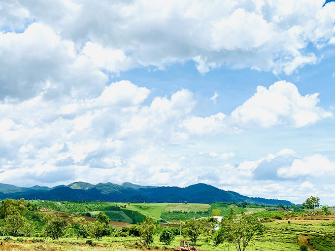 Hiện nay, TP. Bảo Lộc đang có 48 dự án kêu gọi, thu hút đầu tư để xây dựng thành phố sinh thái và dịch vụ, nghỉ dưỡng, một mức tăng trưởng vượt bậc so với những năm trước đó.