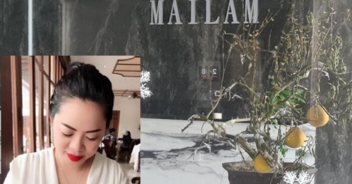 Pháp luật - Nữ giám đốc mất tích cùng 900 tỷ: Thêm một nạn nhân là người nước ngoài