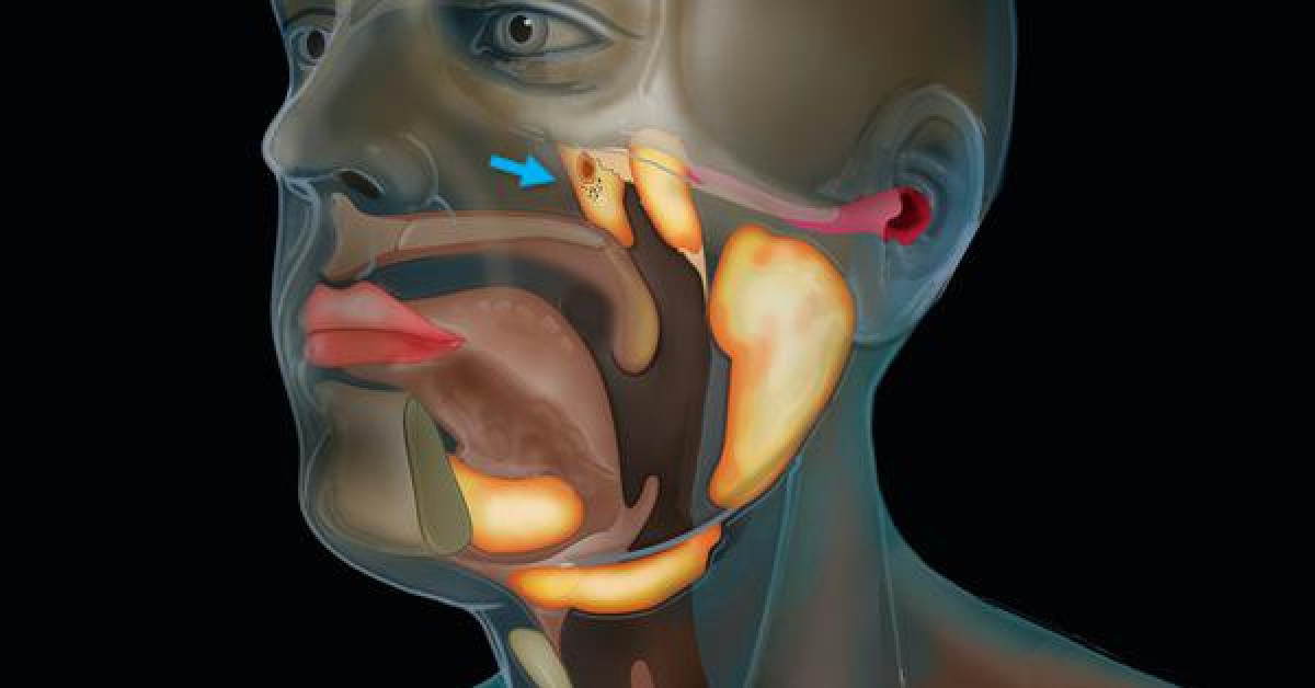 Sức khỏe đời sống - Phát hiện cơ quan chưa từng biết trong cơ thể người, giúp chữa ung thư an toàn