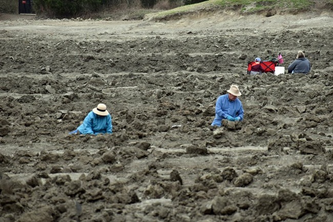 Công viên Crater of Diamonds ở Mỹ cho phép mọi người vào tự do tìm kim cương, ai tìm được có thể đem về nhà.
