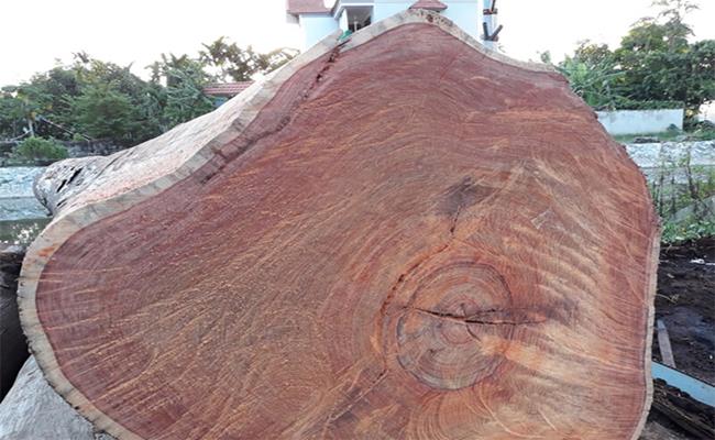 Gỗ cẩm lai là loại gỗ quý, có tính thẩm mỹ và độ bền cao, ít bị mối mọt hoặc là nứt nẻ. Đặc biệt mùi hương của gỗ có thể xua đuổi được côn trùng.

