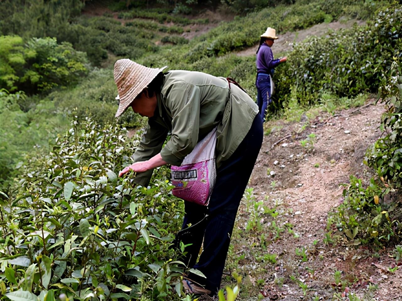 Cụ bà 96 tuổi chung sống với ung thư gan 20 năm và bí quyết đẩy lùi bệnh được “gói” trong 3 điều - 3