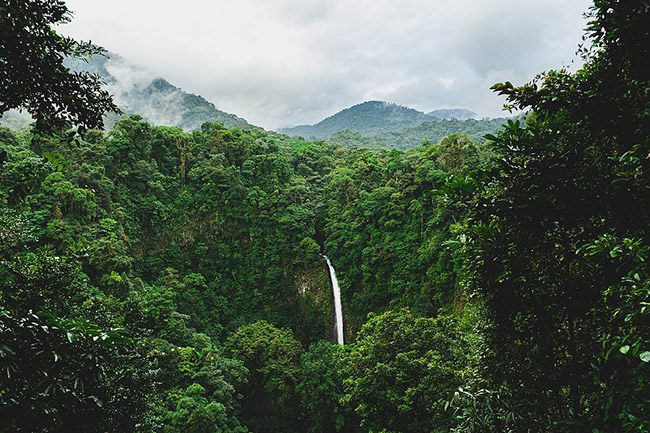 Costa Rica: Quốc gia "gồ ghề", được bao phủ bởi rừng nhiệt đới và vô cùng đa dạng này cũng rất được lòng các cặp đôi lựa chọn làm điểm đến trăng mật. 
