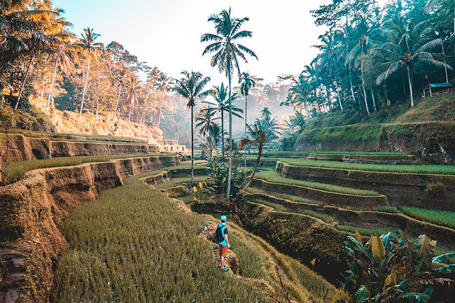 Bali: Hòn đảo nhỏ của Indonesia này là một sự hấp dẫn tuyệt vời khi nói đến sự đa dạng của cảnh quan và các hoạt động tại đây. Từ những bãi biển hoàn hảo đến thác nước và rừng rậm hấp dẫn đầy cơ hội để phiêu lưu. 
