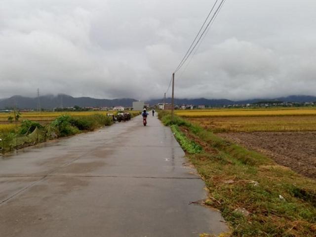 Kinh doanh - Đất nền vùng ven bất ngờ tăng "vù vù", đội giá gấp đôi