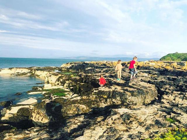 Giáo dục - du học - Dụi mắt nhiều lần có khiến bạn tìm ra chú chó trong những bức ảnh này không?