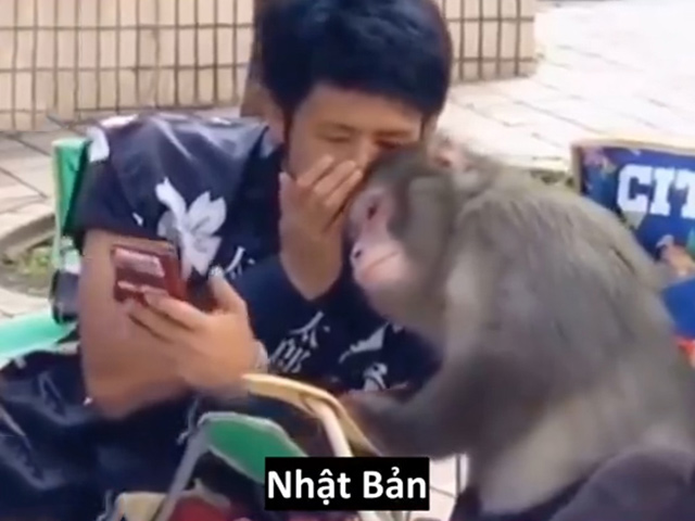 Cười 24H - Sự khác biệt về độ "tấu hài" giữa các siêu cường quốc