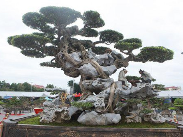 Thị trường - Tiêu dùng - Huyền thoại sanh cổ ký đá “Phù Đổng Thiên Vương” kỳ vĩ nhất Việt Nam