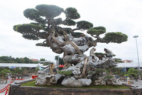 Đây là tác phẩm kết hợp giữa cây và đá hay còn gọi là “mộc thạch tương sinh” đẹp nhất Việt Nam. 