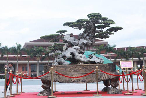 Tác phẩm sanh cổ "Phù Đổng Thiên Vương" của ông Nguyễn Trọng Trường (Trường "giấy"), được giới chơi cây cảnh coi là một trong những huyền thoại độc đáo trong làng cây Việt Nam, không đụng hàng với bất kỳ một tác phẩm nào.