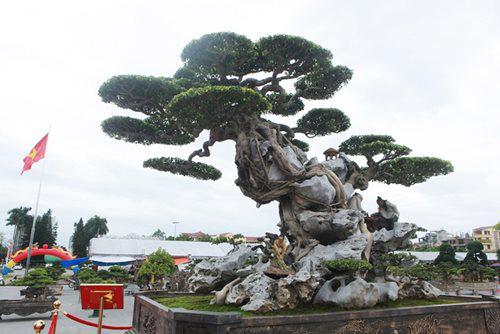 Tác phẩm hiện tại đã được định giá nhiều tỷ đồng.