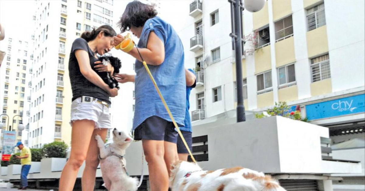 Kinh doanh - Những quy định có cũng như không