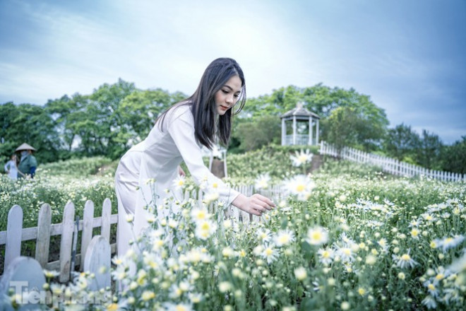 Thiếu nữ thướt tha trong bộ áo dài trắng với cúc họa mi.