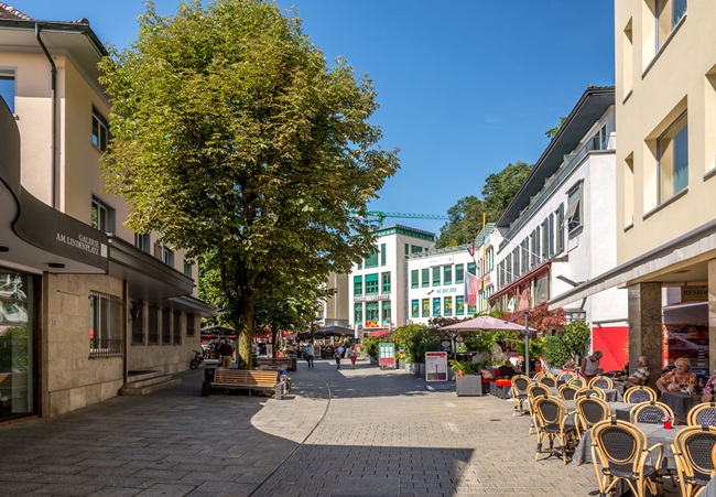 Ngân sách quốc gia và các thành phố của Liechtenstein thường thặng dư.&nbsp;
