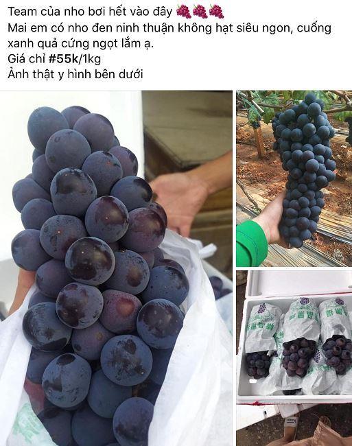 Nho đen không hạt Trung Quốc "gắn mác" nho Ninh Thuận, rao bán tràn lan trên chợ mạng.