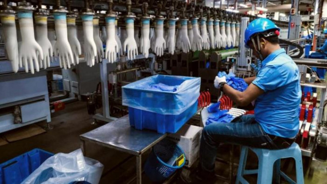 Thị trường găng tay y tế hiếm đến nỗi "có tiền cũng khó mua".