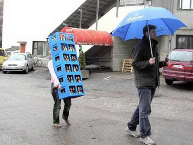 Tranh vui - Cười sái hàm khi bắt gặp hình ảnh "ngang trái' trong cuộc sống