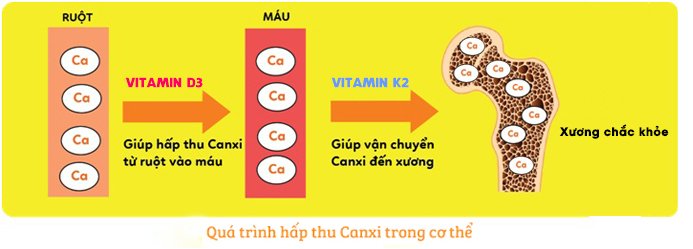 Điểm mặt 3 sai lầm tai hại trong ăn uống ảnh hưởng nghiêm trọng tới chiều cao của trẻ - 3