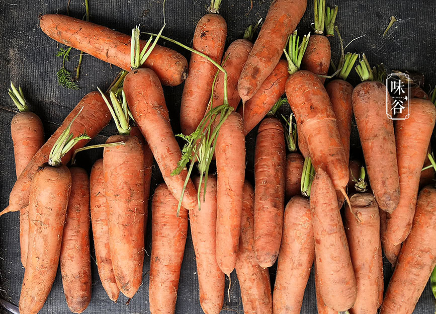 Đi chợ nên mua cà rốt sạch hay còn dính bùn, có 1 sự khác biệt rất lớn giữa 2 loại này - 1