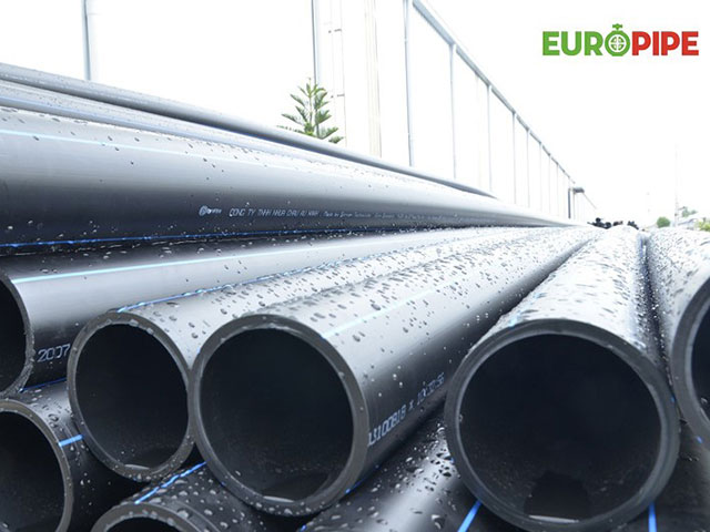 AMACCAO - người thực thi một giấc mơ - Ghi chép của Nhà văn Nguyễn Quang Thiều