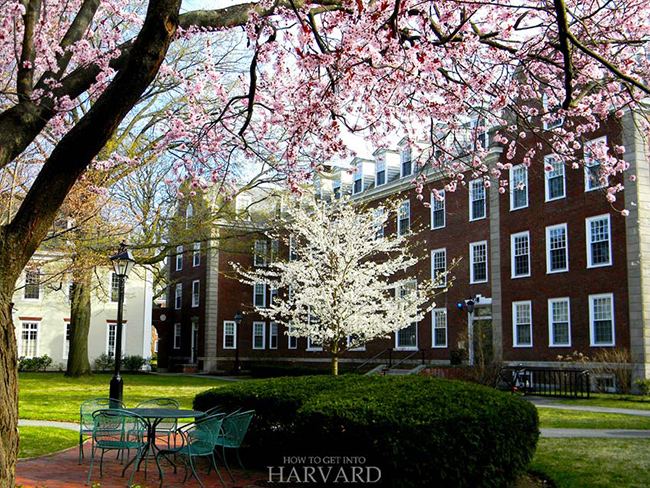 Đại học Harvard là một trong những nơi được ghé thăm nhiều nhất ở Boston, và thậm chí toàn bộ khu vực Bờ biển phía Đông nước Mỹ. 
