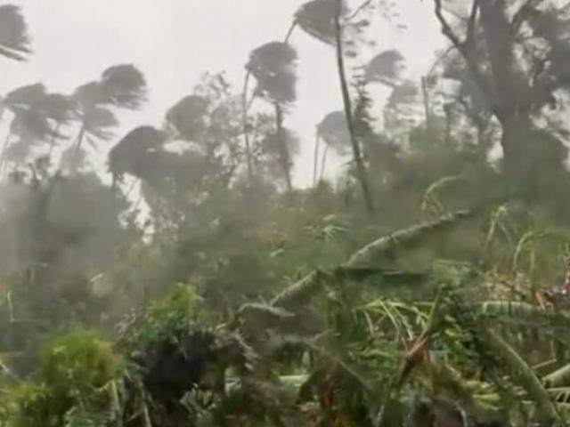 Media - Hình ảnh bão Molave tàn phá, gây ngập lụt ở Philippines