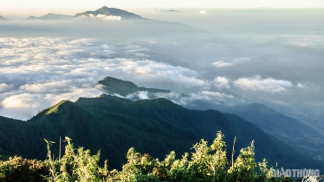 Lên Sapa “săn mây” trên dãy núi Ngũ Chỉ Sơn - 7