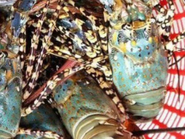 Thị trường - Tiêu dùng - Mặt hàng trước vứt đi nay thành "mỏ tiền" không đủ bán, thứ đầu tiên gây sốc