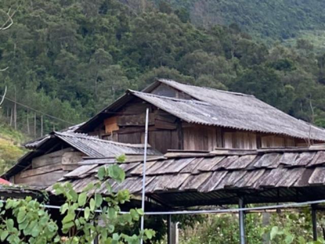 Pháp luật - Sát hại bố đẻ, nam thanh niên được tìm thấy khi đã chết trong rừng