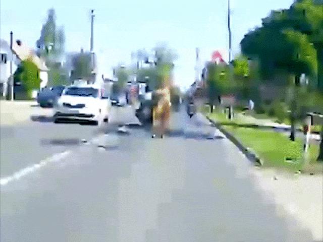 Xe máy - Xe đạp - Video: Ngựa "đi lạc" nhảy chồm lên xe máy trên đường phố