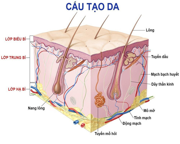 Bio-Whitening – “vắc-xin” phòng ngừa lão hóa sớm cho da - 2