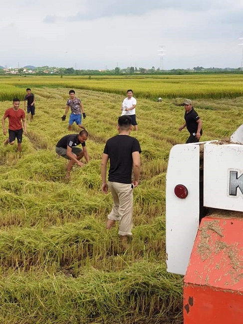 Nhiều người đi bắt chuột để làm mồi nhậu cho vui nhưng có những người coi đây là công việc chính của mình.