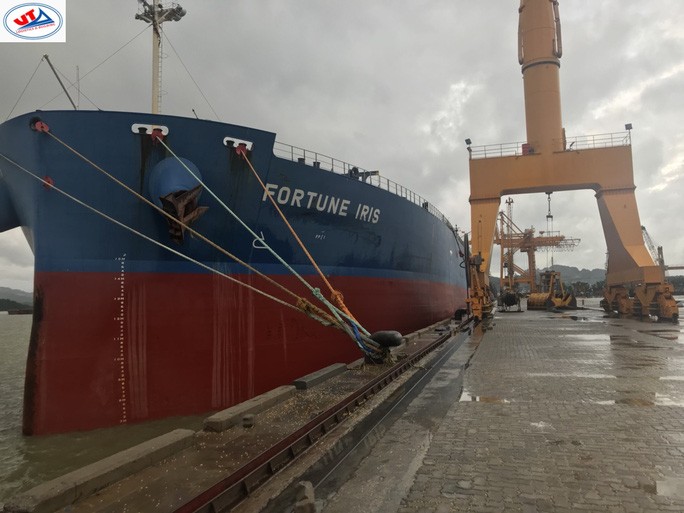 Tàu M/V Fortune Iris lúc cập cảng ở TP HCM