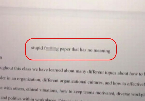 Tựa đề oái oăm của bài luận kiểm tra giữa kỳ: "Stupid f***king paper that has no meaning". Ảnh: @hanspoet.