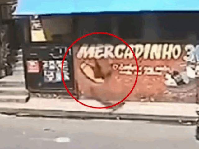 Media - Hành nghề đúng nhà "cao thủ", tên trộm bị ném văng ra ngoài